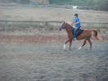 My horse jumping