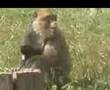 Zoopark Erfurt Thüringen Juni 2008 Sommer Sonntagsausflug