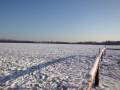 videos de Bonn Kottenforst Winter Walk