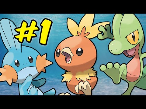 how to nuzlocke pokemon