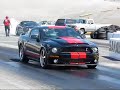 Shelby vs Mustang