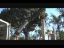 Thumbnail #1