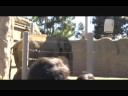 Thumbnail #3