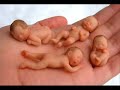 LAS PASTILLAS DEL ABUELO PRINCESA