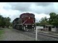 Overpowered Ferromex grain train.