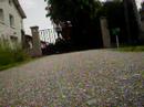 Grimpeuses de portail ``