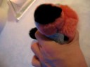 Thumbnail #1