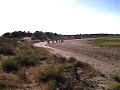 balade a cheval sur plage