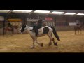 Sidesaddle Riding Sidesaddle Riding