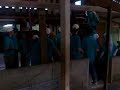 Sukarelawan di Madrasah Tafsiz Darul Manar Sukarelawan di Madrasah Tafsiz Darul Manar