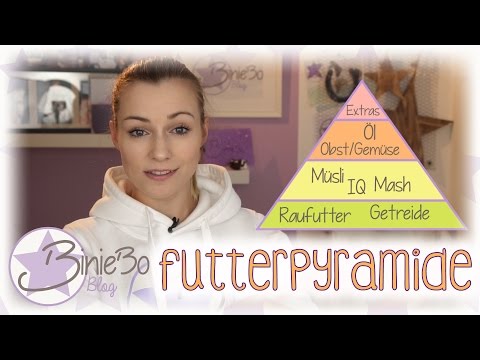 Futterpyramide! |#biniebowissen