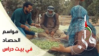 أرشيف وطن - حلقة بيت دراس - تلفزيون فلسطيني أرشيف وطن - حلقة بيت دراس - تلفزيون فلسطيني