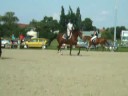 amandine compet amandine compet