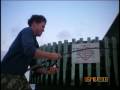 videos de Tampa Tarpon and other fish of 08