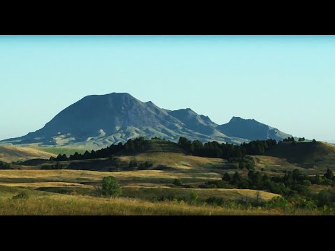 video_preview