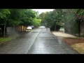 #41: Lime Squeezes Through Rain to Mayor Xmas' Park