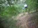 Btt Monsanto 2 Btt Monsanto 2