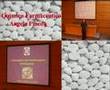 II jornadas farmacéuticas u$$