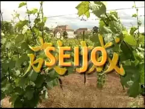 SEIJO - Un Petit Japon en Alsace - ...