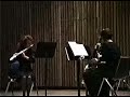 university of akron student flute/clarinet/bassoon wind trio playing walter piston's three pieces. 

lisa thomas, flute
heidi aufdenkamp, clarinet
palmer shepherd, bassoon