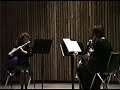 university of akron student flute/clarinet/bassoon wind trio playing walter piston's three pieces. 

lisa thomas, flute
heidi aufdenkamp, clarinet
palmer shepherd, bassoon