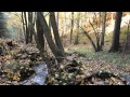 YouTubeサムネイル[qnYau-OljX8] - 2枚目