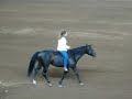 Stacy Westfall Freestyle Reining Stacy Westfall Freestyle Reining
