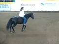 Stacy Westfall Freestyle Reining