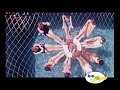 Costa Cruises History