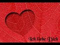 Matthias Reim - Ich will leben (mit dir)
