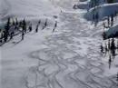 Powder Skiing