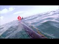 SPEARFISHING GROUPER MIAMI