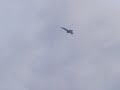 Click here to watch this video CF 18 HORNET.3gp