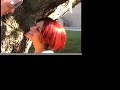 [Short Film] Sob Tree