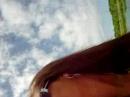 TANNiN
