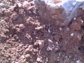 digging crystals http://www.healthretreats,info