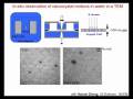 Frontiers in Laser Cooling, Single-Molecule Biophysics and Energy Science: Paul Alivisatos