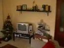 nuevo hogar parte 2