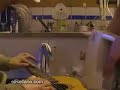 Pulp fiction song