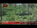 Troops consolidate on newly captured LTTE FDL in Muhamalai. Northern War Front 5 th of December 2008 Troops consolidate on newly captured LTTE FDL in Muhamalai. Northern War Front 5 th of December 2008