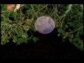 Ripley's Ghost Train Adventure....The Evidence.