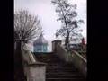 Kobrin - my heimat