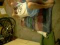 My Bro on Salvia sees circus in our basement My Bro on Salvia sees circus in our basement
