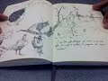 HellaPaul Sketchbook 2 Remix.wmv