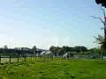 Cross vc Madeira ( L ) N�2 .