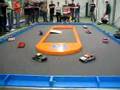 BRCA Hereford National 2008 - bangers