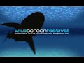 Wildscreen Festival Sting - Synchronised Sharks