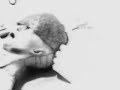 santilli-roswell-autopsy-part-2.html