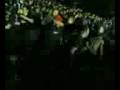 circle pit