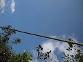 First-Person Zip Lining on Canopy Tour in Costa Rica First-Person Zip Lining on Canopy Tour in Costa Rica